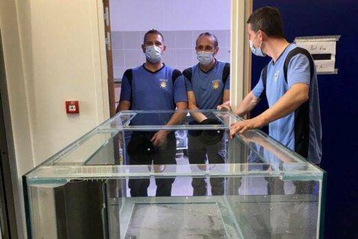 Aide au déménagement à perpignan des locaux d'entreprise à Perpignan dans les Pyrénées-Orientales