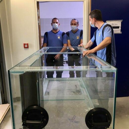 Aide au déménagement à perpignan des locaux d'entreprise à Perpignan dans les Pyrénées-Orientales